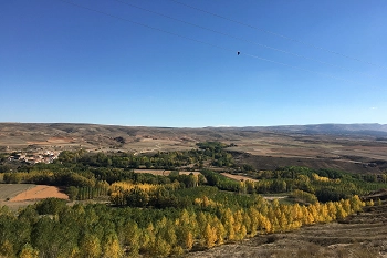 Bosque Portugal