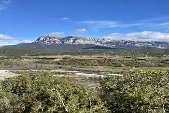 Bosque Aragón