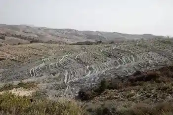 Bosque Almería