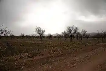 Bosque Comunidad Valenciana
