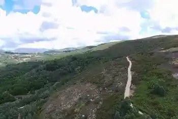 Bosque Extremadura