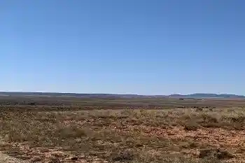 Bosque Castilla y León