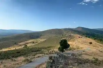 Bosque Comunidad de Madrid